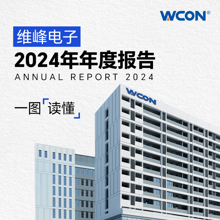 2024年年報